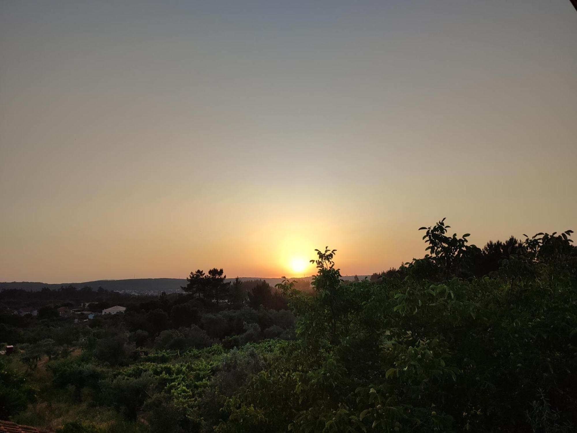 R3 - Guesthouse Travessa Da Arieira Aguda (Leiria) Екстер'єр фото